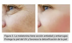 Comparación de piel con arrugas y piel lisa tras uso de melatonina tópica. Reduce líneas de expresión y protege del sol.