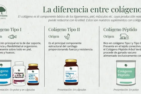 Descubre para qué sirve el colágeno: Tipo I para piel y huesos, Tipo II para cartílagos, y Péptido para tejido conectivo.