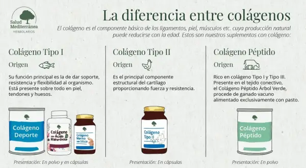 Descubre para qué sirve el colágeno: Tipo I para piel y huesos, Tipo II para cartílagos, y Péptido para tejido conectivo.