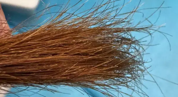 Un mechón de pelo castaño con algunas hebras que parecen blanqueadas, porque tengo las puntas del pelo blancas.