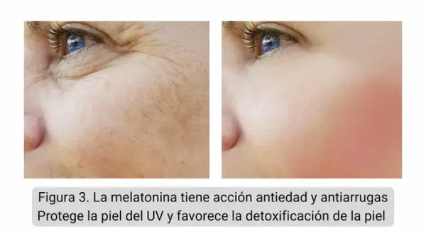 Comparación de piel con arrugas y piel lisa tras uso de melatonina tópica. Reduce líneas de expresión y protege del sol.