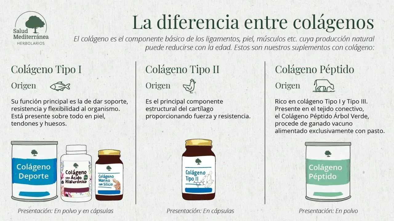 Descubre para qué sirve el colágeno: Tipo I para piel y huesos, Tipo II para cartílagos, y Péptido para tejido conectivo.