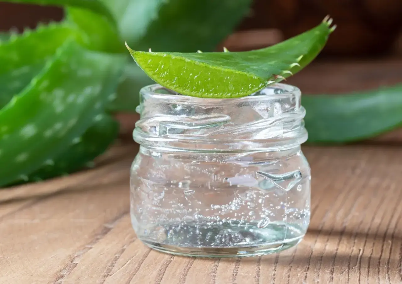Un trozo de hoja de aloe vera descansa sobre un frasco de vidrio con gel transparente, ideal para un tratamiento de aloe vera para el cabello sin enjuagar.