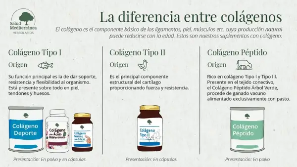 Descubre para qué sirve el colágeno: Tipo I para piel y huesos, Tipo II para cartílagos, y Péptido para tejido conectivo.