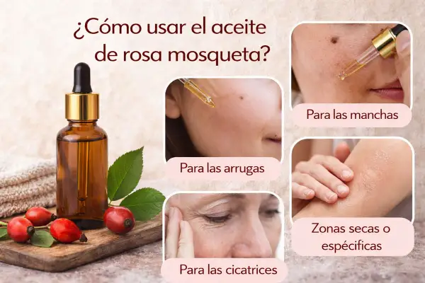 Aceite de rosa mosqueta en frasco, con frutos y hojas. Muestra su uso para arrugas, manchas, cicatrices y zonas secas.