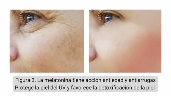 Comparación de piel con arrugas y piel lisa tras uso de melatonina tópica. Reduce líneas de expresión y protege del sol.