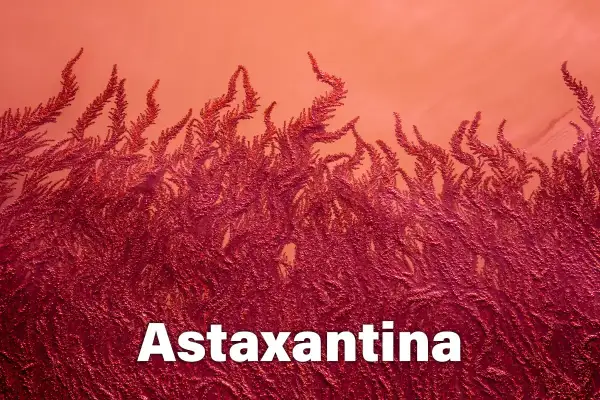 La astaxantina, un potente antioxidante, se muestra en forma de algas rojas vibrantes.